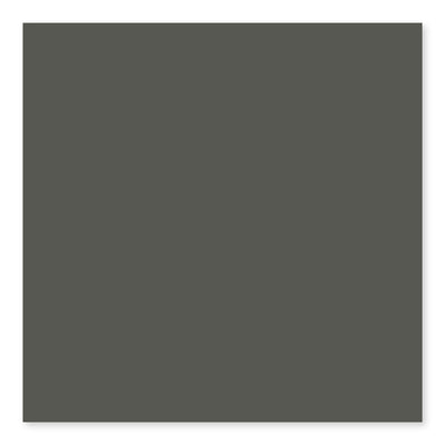 Dark Gray Bright