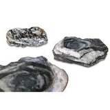 Zebra Natural Bird Baths