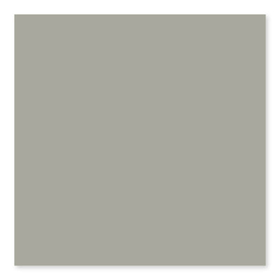 Taupe Bright